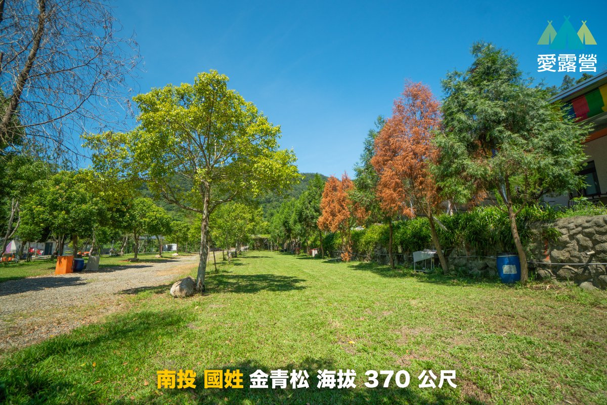 南投 金青松露營區