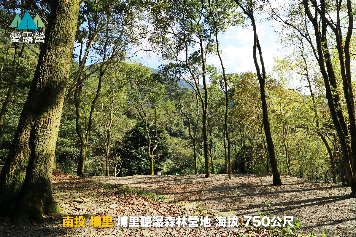 南投 埔里聽瀑森林營地